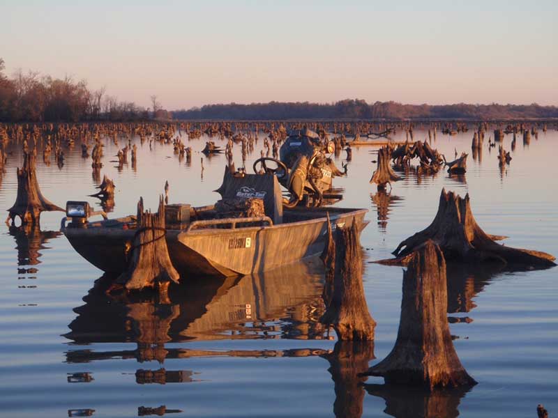 marine pan tilt searchlights